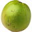 Eastern black walnut