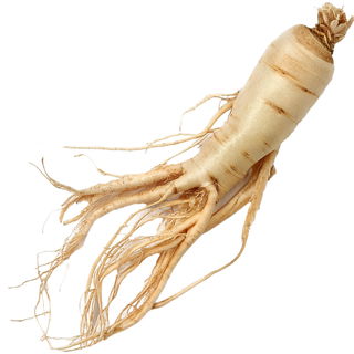 Ginseng-Tee