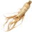 Ginseng