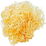 Irish moss
