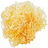 Irish moss
