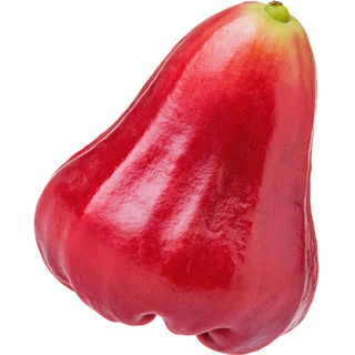 Java apple