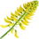 Sweet clover