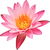 Aquatic flowers