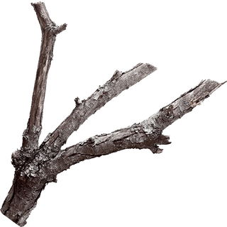Teestrauchholz