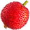 Arbutus