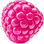 rosa Himbeere