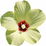Abelmoschus