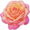 Fantasia rose