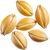 Malt