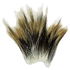 Animal hair