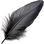 Black feathers