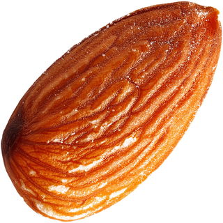 kandierte Mandel