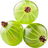 grüne Beeren