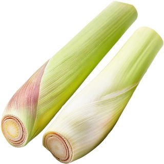 Java lemon grass