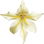 Eintönige Gladiole