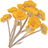 Immortelle