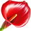 rote Calla