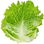 Salat