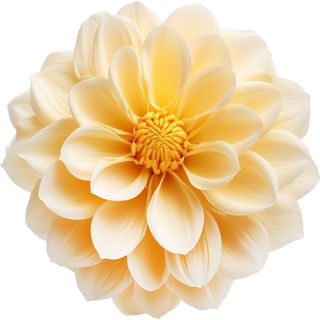 gelbe Blüten