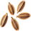 Celery seed