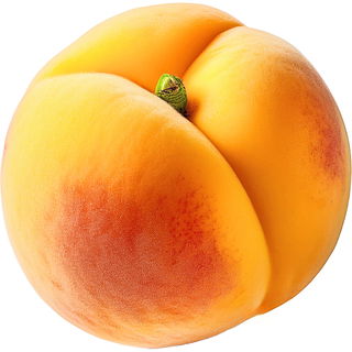 Peach fizz