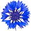 Cornflower
