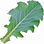 Crambe
