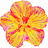 Belle de nuit flower