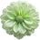 grüne Blüten