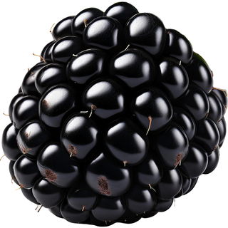 Black raspberry