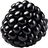 schwarze Himbeere