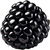 schwarze Himbeere