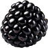 Black raspberry