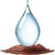 Petrichor
