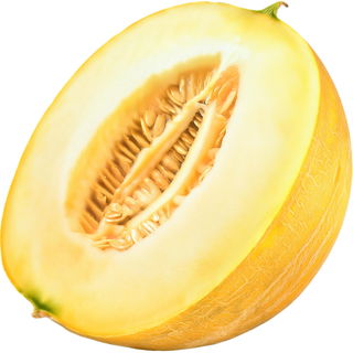 Honeydew melon