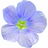 Flax blossom