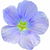 Flax blossom