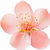 Peach blossom