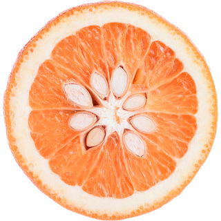 Red bitter orange