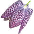 Chess flower