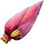 Banana flower