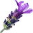 French lavender