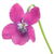 pinkes Veilchen
