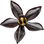 Black vanilla orchid
