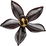 Black vanilla orchid