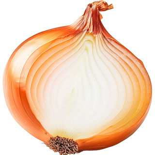 Onion soup