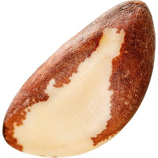 Para nut