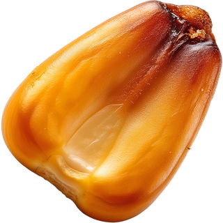 Roasted corn