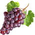 Grapevine
